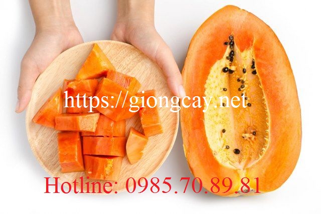 10 loại cây ăn quả truyền thống dễ trồng và năng suất của người Việt