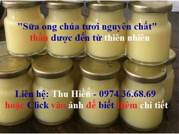 Sữa ong chúa tươi | sữa ong chúa